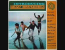 The Beau Brummels - Laugh, Laugh (audio only)