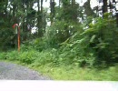 市道を走っていたら…