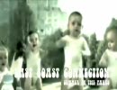 East Coast Connection - Summer In The Parks