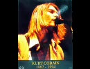 Nirvana - Where did you sleep last night (Live in Paris 1994)