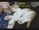 【Ａ１】猫好きのボーダーブレイク【支援】５５匹目