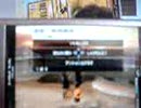 daisuke 　ＭＧＳ　PWパスとデートを撮ってみた。