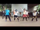【踊り溺れ踊り狂うオフ】ケロ⑨destiny【7月17日＠代々木】