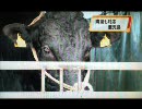 口蹄疫ニュース7月22日