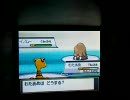 【きのこたけのこ】ﾎﾟｹｯﾄﾓﾝｽﾀｰHG二人で実況【29ばんめ】