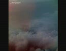 Wild Nothing - Vultures Like Lovers