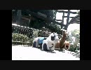 置いていかれる緑ちゃん