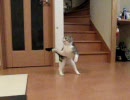 ヘディング（？）