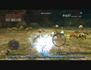 白騎士物語 光と闇の覚醒　GR13 風の民の龍退治-I