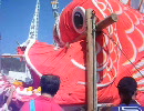 鯛祭り2010　祝い込み　～Tai Festival2010～