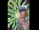 GANJA FARMER  ~MARLON ASHER~