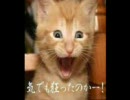 【作業用BGM】B'z『MAGIC』part.1