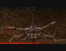 【MHP2G】にわかガンサーが行く！猫調教の旅【実況】Part 17