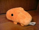 カピバラを撮影してみた。