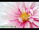 【オリジナル曲】 雛あられの華～Beautiful Spring～ 【フリーソフト】