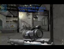 Alliance of Valiant Arms CANNON with SIG556 2/2