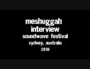 Meshuggah - Interview 2010