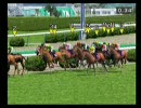 つくろうC2010S初期配合 第06戦[阪神2200m]（ダビつく５）