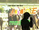【iM@S架空戦記】名馬・鳥の王　第２０Ｒ