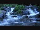 【癒し】夏を涼む動画【水流とひぐらし】