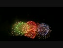 PL花火@20100801　その9
