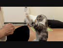 バンザーイ （練習中）