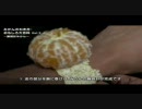 みかんのむき方　Vol.4　〜腕時計みかん〜