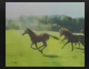 【実況】2009年、フリーターは馬主になった。その109