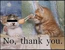 忙しい人向け　「NO,Thank You!」