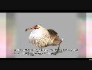 【FF14】開発がモンスターについて語る