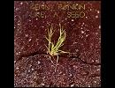 Kenny Rankin - Like A Seed
