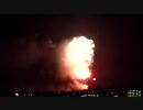 教祖祭PL花火芸術2010(富田林)