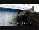 紀伊半島のすすめ～Vol.22～