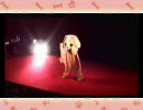 -4で『one's_future』歌ってみた【千円】