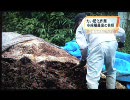 口蹄疫ニュース8月9日