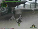 MHF 動画UPテスト リオレウス希少種 PTプレイ 2/2