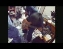FACTのStrech My Armsを弾いてみました。