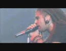 ill nino-Liar（LIVE）