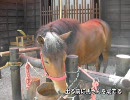 日光小旅行