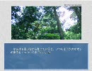 【実況プレイ】フリーノベルゲーム読書会【Beyond the summer】part14