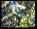 友人に薦められた「クロノクロス」実況プレイしてみるpart6