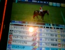 ニャッフル　発動第２章２戦目　桜花賞