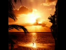 Belladonna - Tropical Deep