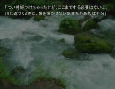 幻想釣行記【五投目前編】