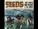 The Seeds - Can't Seem To Make You Mine