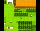 中国版ポケモン金をプレイしてみた。Part1