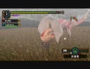 テスト　～モンハン2ndG～