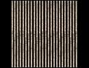 Pitch Black / Fumiya Tanaka