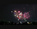 東京湾大華火祭をiPhoneで撮ってみた1