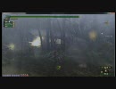 【ドラカナ】下位クシャ